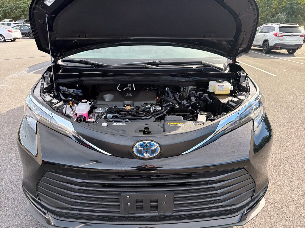 2025 Toyota Sienna LE 8 Passenger