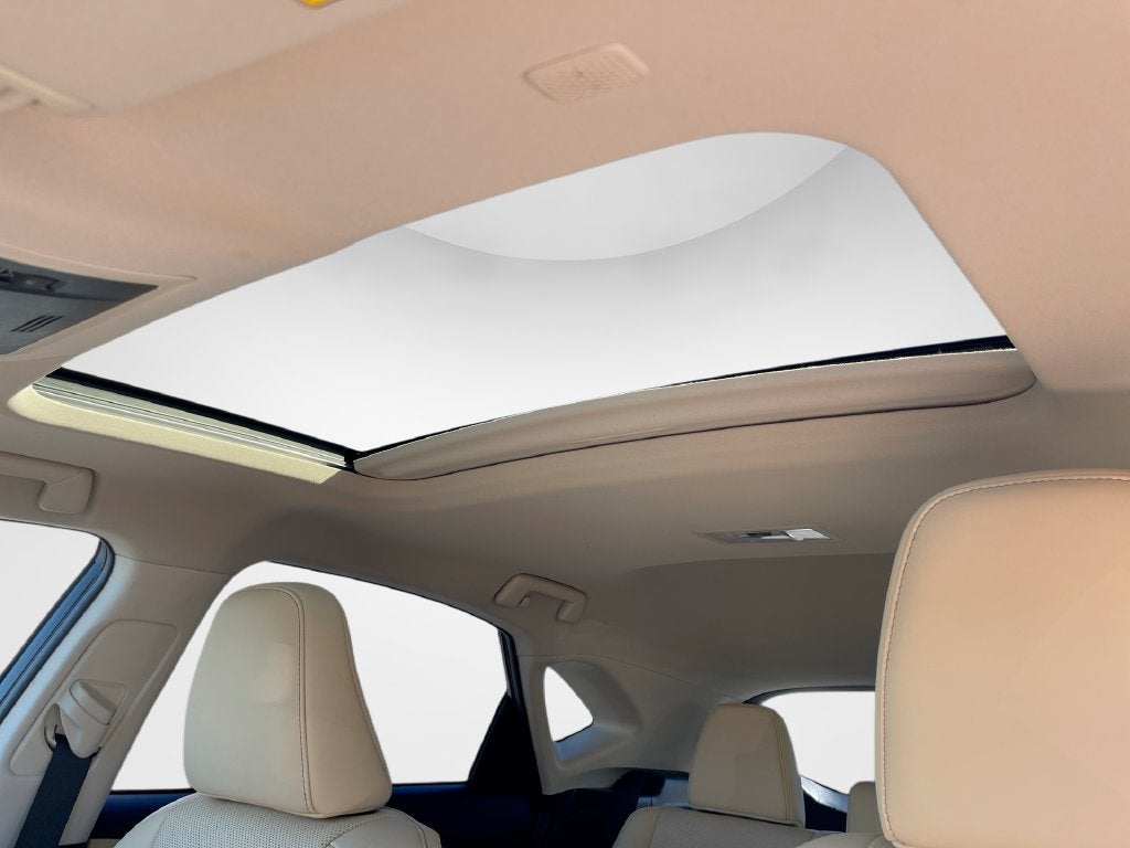 2019 Lexus NX NX 300h